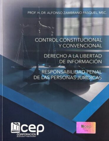 Control constitucional y convencional