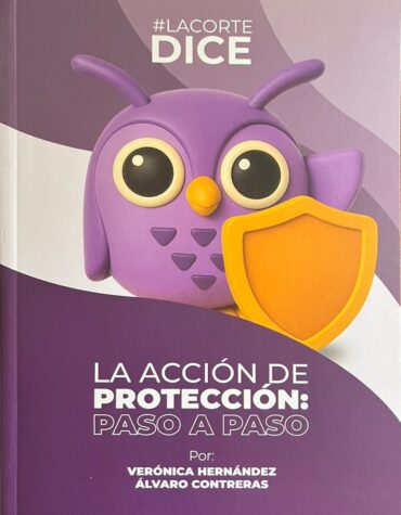 La acción de protección: paso a paso | LA CORTE DICE