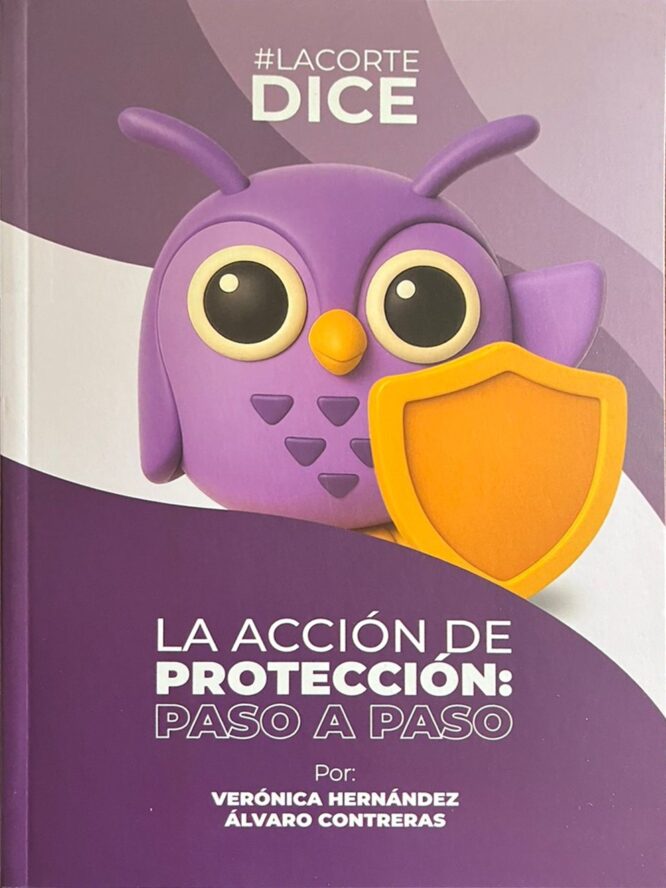 La acción de protección: paso a paso | LA CORTE DICE