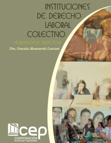Instituciones de derecho laboral colectivo