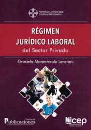 Régimen Jurídico Laboral del Sector Privado (E-Book)